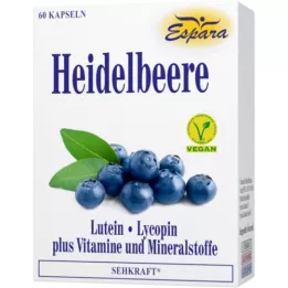 HEIDELBEERE KAPSLER, 60 stk