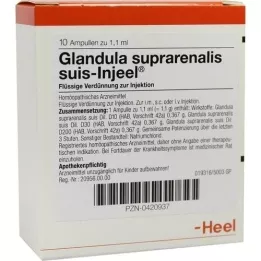 GLANDULA SUPRARENALIS suis Injeel ampuller, 10 stk