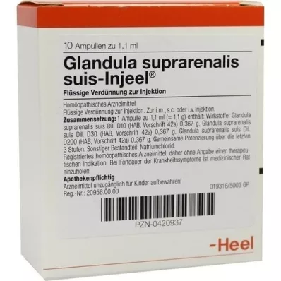 GLANDULA SUPRARENALIS suis Injeel ampuller, 10 stk GLANDULA SUPRARENALIS suis Injeel ampuller, 10 stk