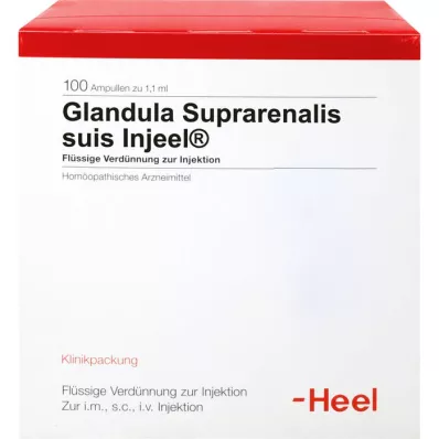 GLANDULA SUPRARENALIS suis Injeel ampuller, 100 stk GLANDULA SUPRARENALIS suis Injeel ampuller, 100 stk