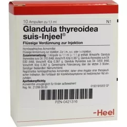 GLANDULA THYREOIDEA suis Injeel ampuller, 10 stk