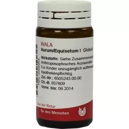 AURUM/EQUISETUM I-kuler, 20 g