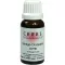 CERES Ginkgo dryopteris komp. dråper, 20 ml