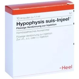 HYPOPHYSIS SUIS Injeel ampuller, 10 stk