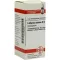 LATHYRUS SATIVUS D 6 kuler, 10 g