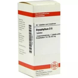 BRYOPHYLLUM D 6 tabletter, 80 stk