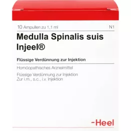 MEDULLA SPINALIS suis Injeel ampuller, 10 stk