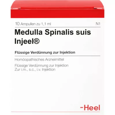 MEDULLA SPINALIS suis Injeel ampuller, 10 stk MEDULLA SPINALIS suis Injeel ampuller, 10 stk