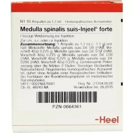 MEDULLA SPINALIS suis Injeel forte ampuller, 10 stk