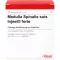 MEDULLA SPINALIS suis Injeel forte ampuller, 10 stk