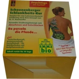 SCHLANKHEITSKUR Fruktig Schoenenberger, 1 s