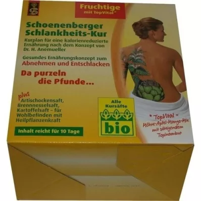 SCHLANKHEITSKUR Fruktig Schoenenberger, 1 s