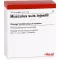 MUSCULUS SUIS Injeel ampuller, 10 stk