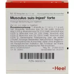 MUSCULUS SUIS Injeel forte ampuller, 10 stk