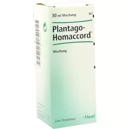 PLANTAGO HOMACCORD Dråper, 30 ml