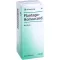 PLANTAGO HOMACCORD Dråper, 30 ml