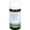 PFLÜGERPLEX Rhus tox.353 H tabletter, 100 stk