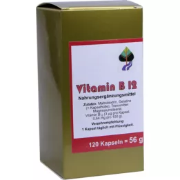VITAMIN B12 KAPSLER, 120 stk