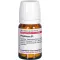 PHYTOLACCA D 1 tabletter, 80 stk