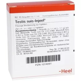 TESTIS SUIS Injeel ampuller, 10 stk