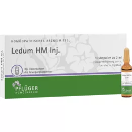 LEDUM HM Injiser ampuller, 10 stk