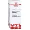 STIBIUM SULFURATUM NIGRUM D 8 Fortynning, 50 ml