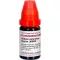 STIBIUM SULFURATUM NIGRUM LM XXIV Fortynning, 10 ml