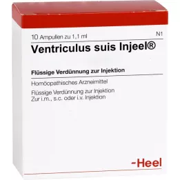 VENTRICULUS SUIS Injeel ampuller, 10 stk