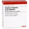 VESICA URINARIA suis-Injeel ampuller, 10 stk