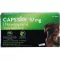 CAPSTAR 57 mg tabletter for store hunder, 6 stk
