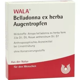 BELLADONNA EX HERBA Øyedråper, 5X0,5 ml