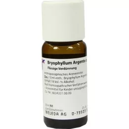 BRYOPHYLLUM ARGENTO cultum D 3 fortynning, 50 ml
