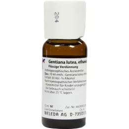 GENTIANA LUTEA D 1 fortynning, 50 ml