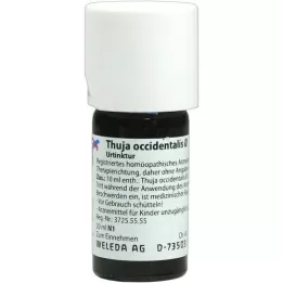 THUJA OCCIDENTALIS Modertinktur, 20 ml