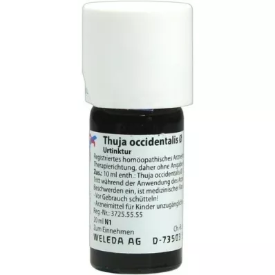 THUJA OCCIDENTALIS Modertinktur, 20 ml