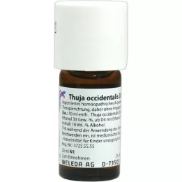 THUJA OCCIDENTALIS D6 Fortynning, 20 ml
