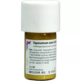 EQUISETUM CUM Svovel tostum D 6 Triturering, 20 g