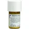 EQUISETUM CUM Svovel tostum D 6 Triturering, 20 g