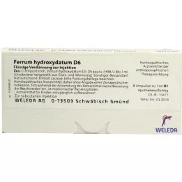 FERRUM HYDROXYDATUM D 6 ampuller, 8X1 ml