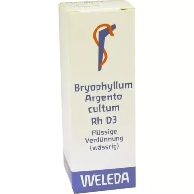 BRYOPHYLLUM ARGENTO cultum Rh D 3 Fortynning, 20 ml BRYOPHYLLUM ARGENTO cultum Rh D 3 Fortynning, 20 ml