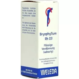 BRYOPHYLLUM RH D3 fortynning, 20 ml