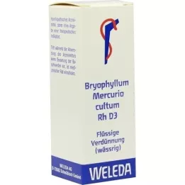 BRYOPHYLLUM MERCURIO cultum Rh D 3 Fortynning, 20 ml