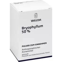 BRYOPHYLLUM 50 % oralt pulver, 50 g