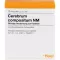 CEREBRUM COMPOSITUM NM Ampuller, 10 stk