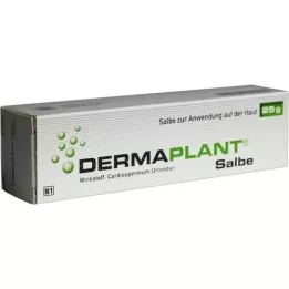 DERMAPLANT Salve, 25 g