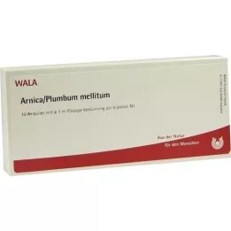 ARNICA/PLUMBUM /Mellitum ampuller, 10X1 ml