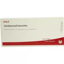 CHELIDONIUM/COLOCYNTHIS Ampuller, 10X1 ml