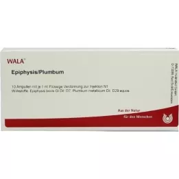 EPIPHYSIS/PLUMBUM Ampuller, 10X1 ml