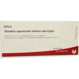 GLANDULA SUPRARENALIS sinistra cum Cupro ampuller, 10X1 ml