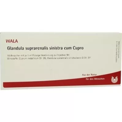 GLANDULA SUPRARENALIS sinistra cum Cupro ampuller, 10X1 ml